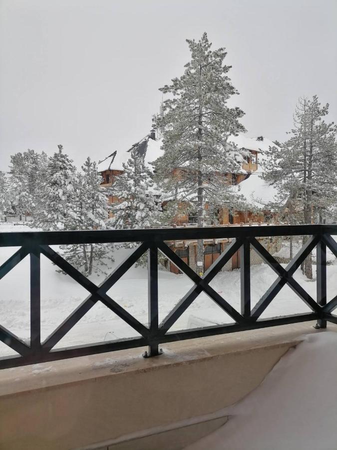 Apartman Pahuljica Tara Kaludjerske Bare Buitenkant foto