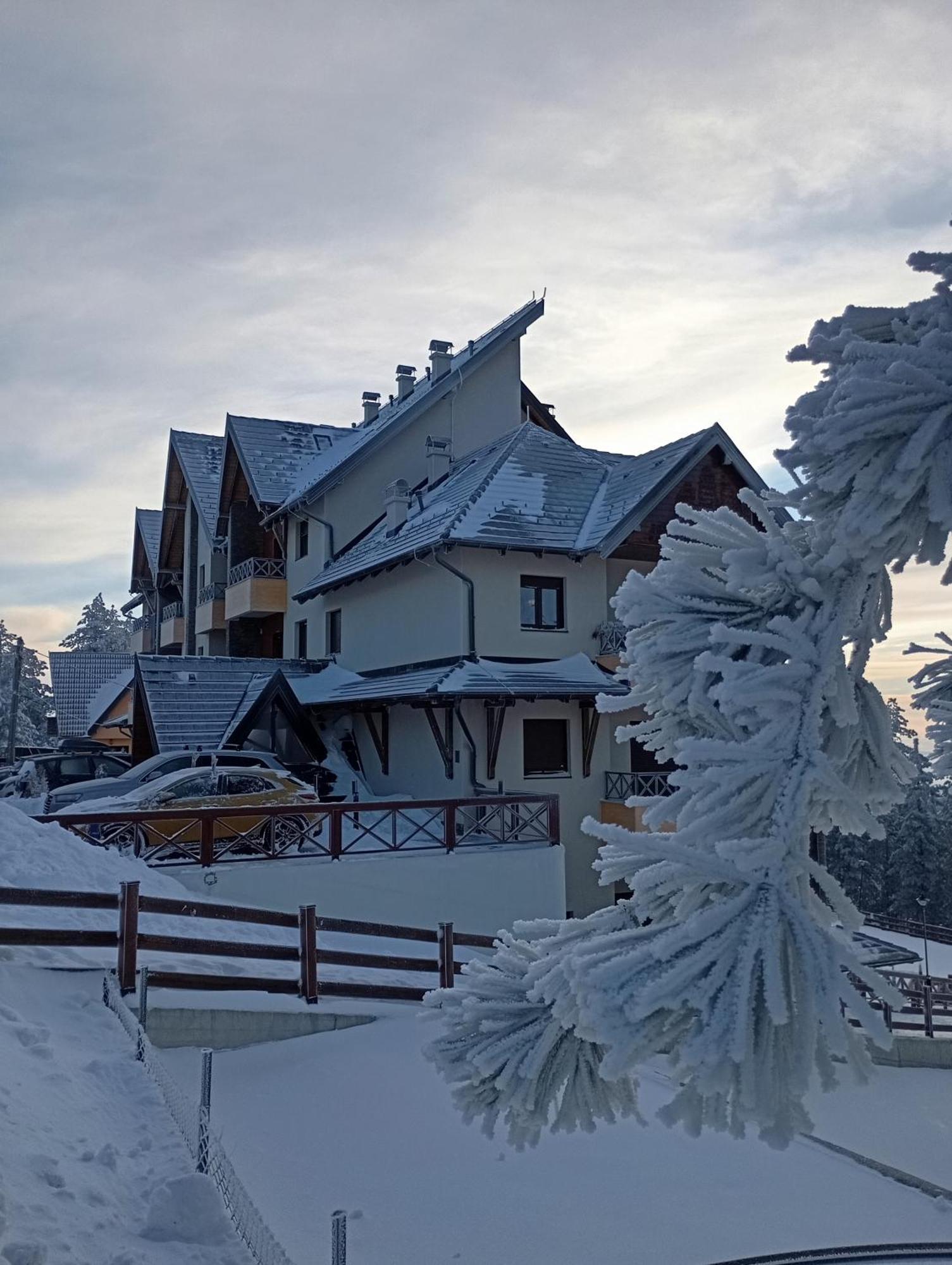 Apartman Pahuljica Tara Kaludjerske Bare Buitenkant foto